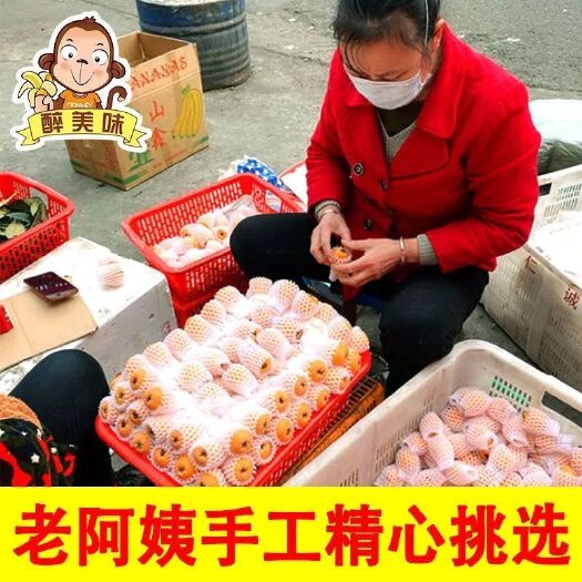 盐津县 五星枇杷新鲜水果枇杷果当季应季云南米易大果润肺大甜琵琶