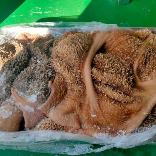 永登县纯干黄毛牛肚！精修！