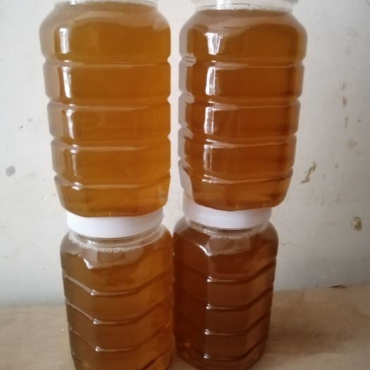 博罗县荔枝蜜 龙眼蜂蜜