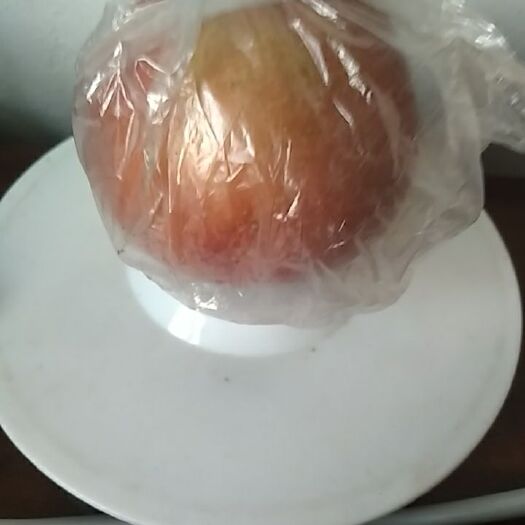 深泽县 红富士苹果4至6两