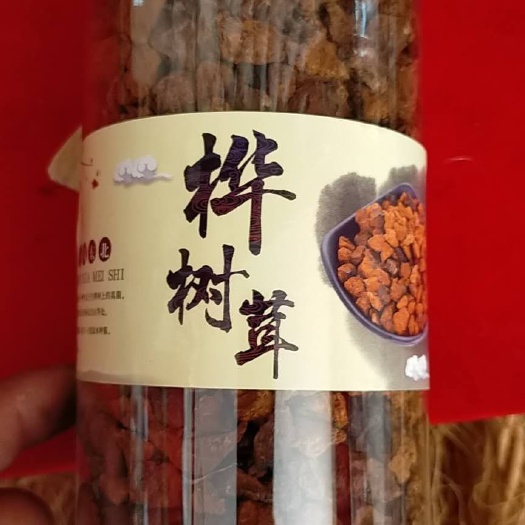 东丰县俄罗斯桦树茸 东北土特产——桦树茸