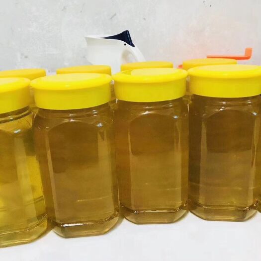 郁南县荔枝蜜  蜂农直销！自家蜂蜜，真正大山里的蜂蜜！