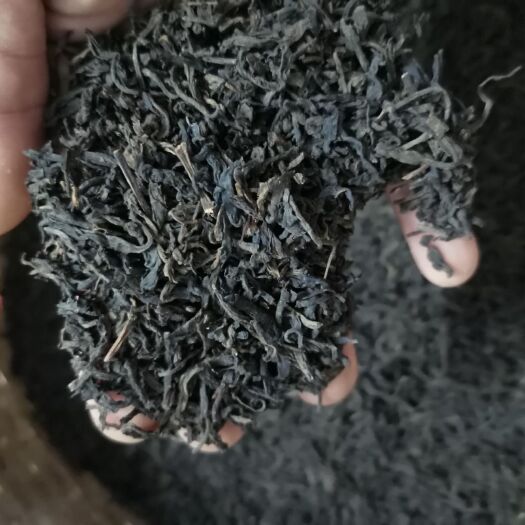 苍梧县六堡茶 2014年农家自生产陈茶