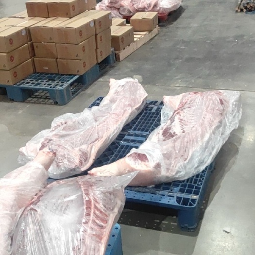 猪肉胴体  猪肉白条胴体
