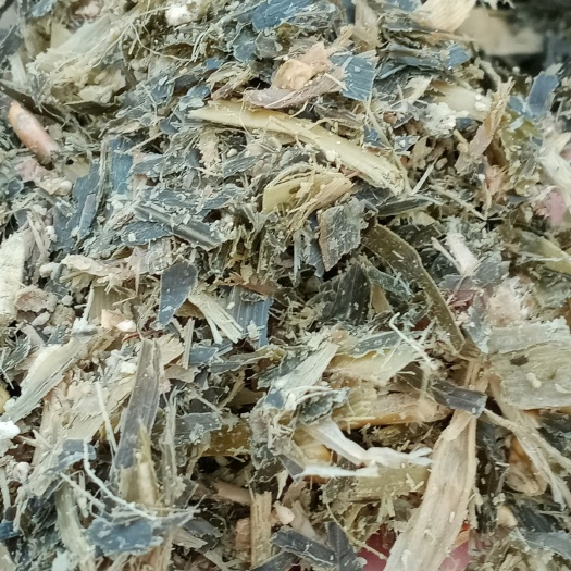 渭南玉米青贮 大量出售带棒青储打包好的和散货，
