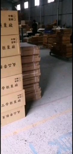 中蜂意蜂巢基深房巢础片养蜂工具质量好建巢快不咬脾每包30片