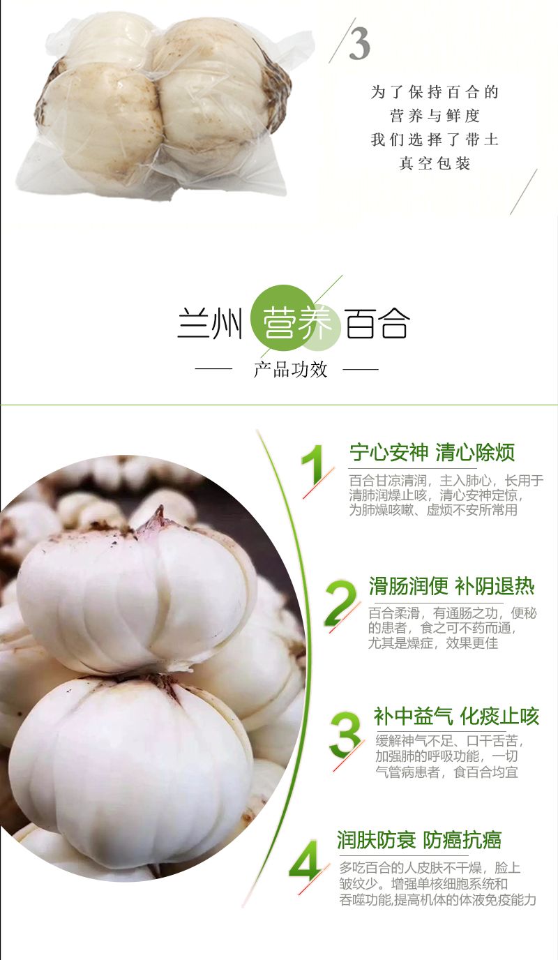 鲜百合 甘肃省兰州市七里河区 