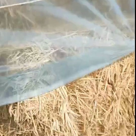 唐山大量出售 普通稻草 柔丝稻草 牛羊饲料
