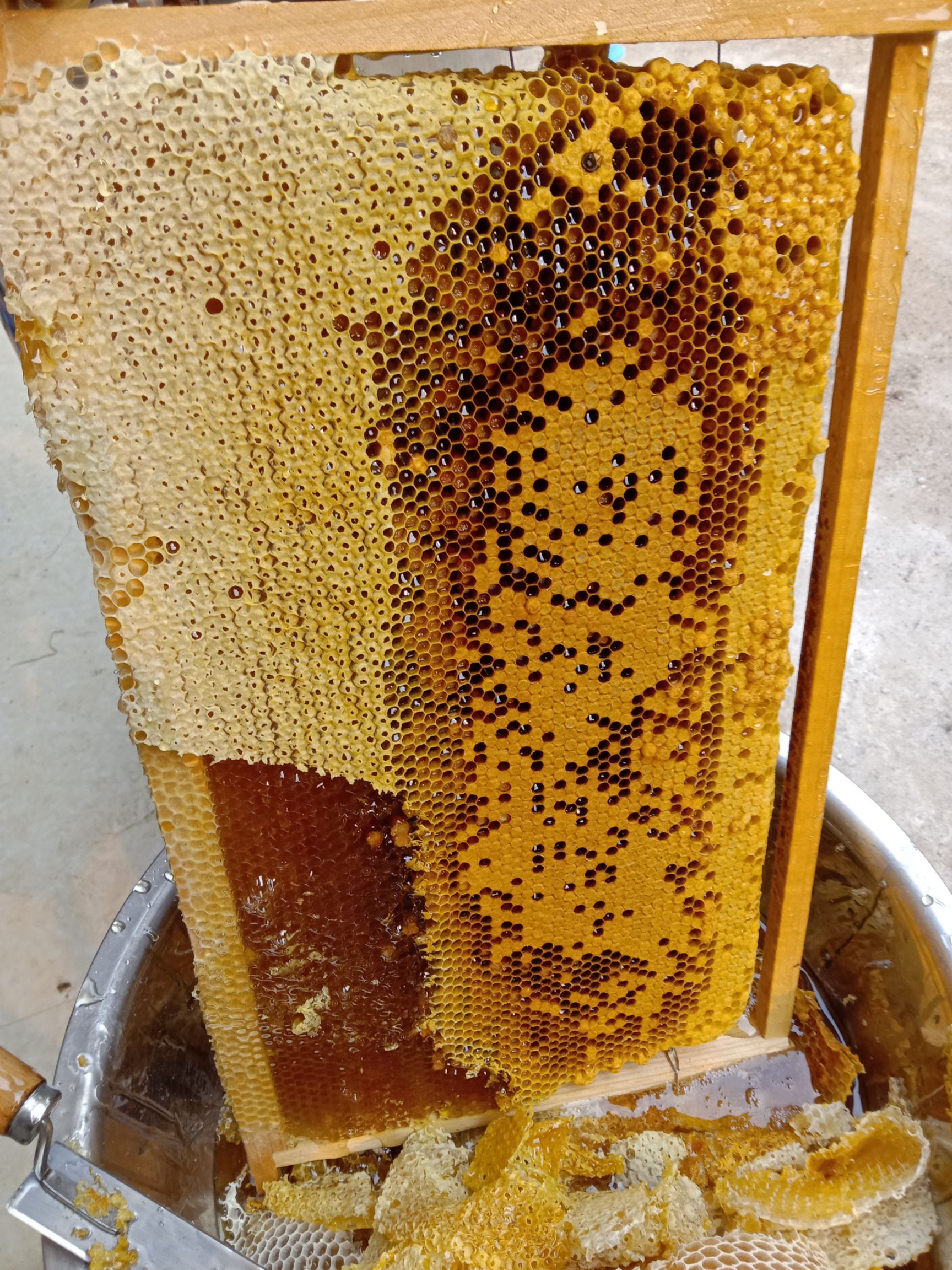 合浦县土蜂蜜 出售广西北海自家纯正荔枝蜂蜜