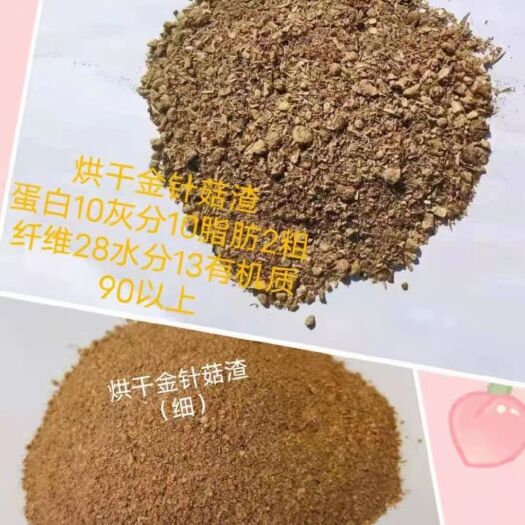 石家庄糟渣类饲料 烘干金针菇渣适合牛羊猪，价格低适合降低成本！！纯植物饲料油。