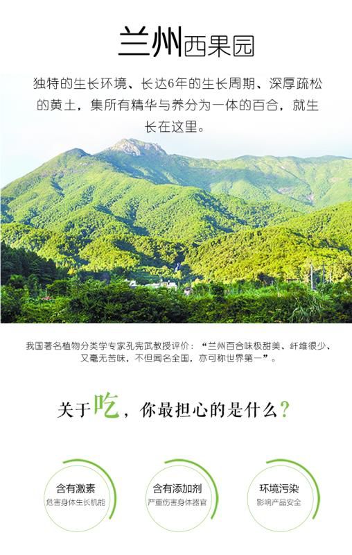 鲜百合 甘肃省兰州市七里河区 