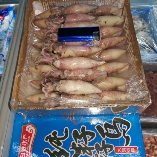 日照鱿鱼  全籽，半籽，皮乌，均有现货，量大从优