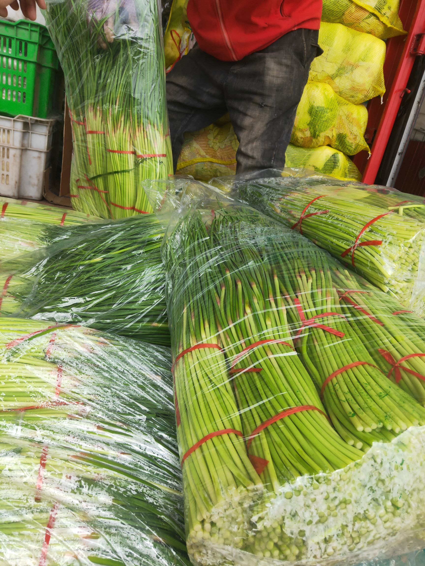 牛舌菌  河北邯郸万亩蔬菜基地。大量精品蔬菜上市中欢迎全国各大批发商超