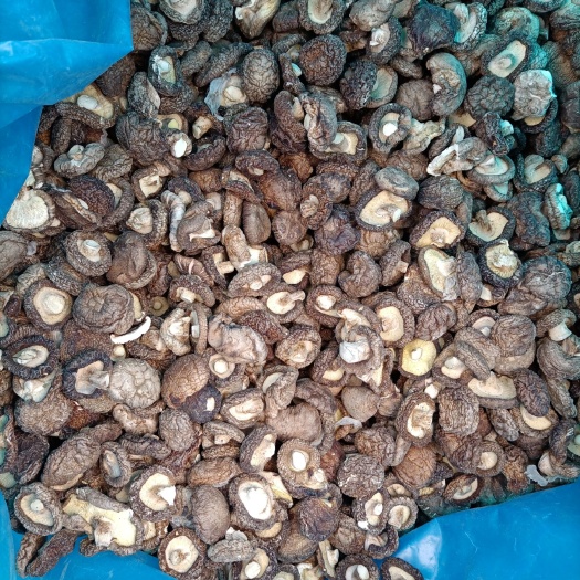 平泉市烘干香菇，各种规格型号的都有，产地直销！