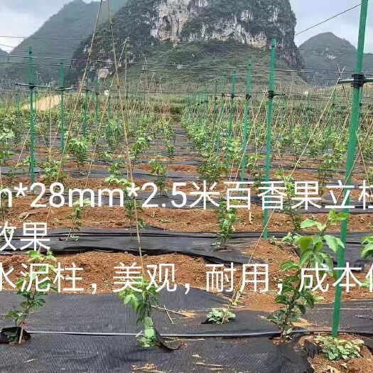 东莞市大棚骨架  厂家直营，玻璃纤维百香果立柱，支撑杆，育苗拱棚杆