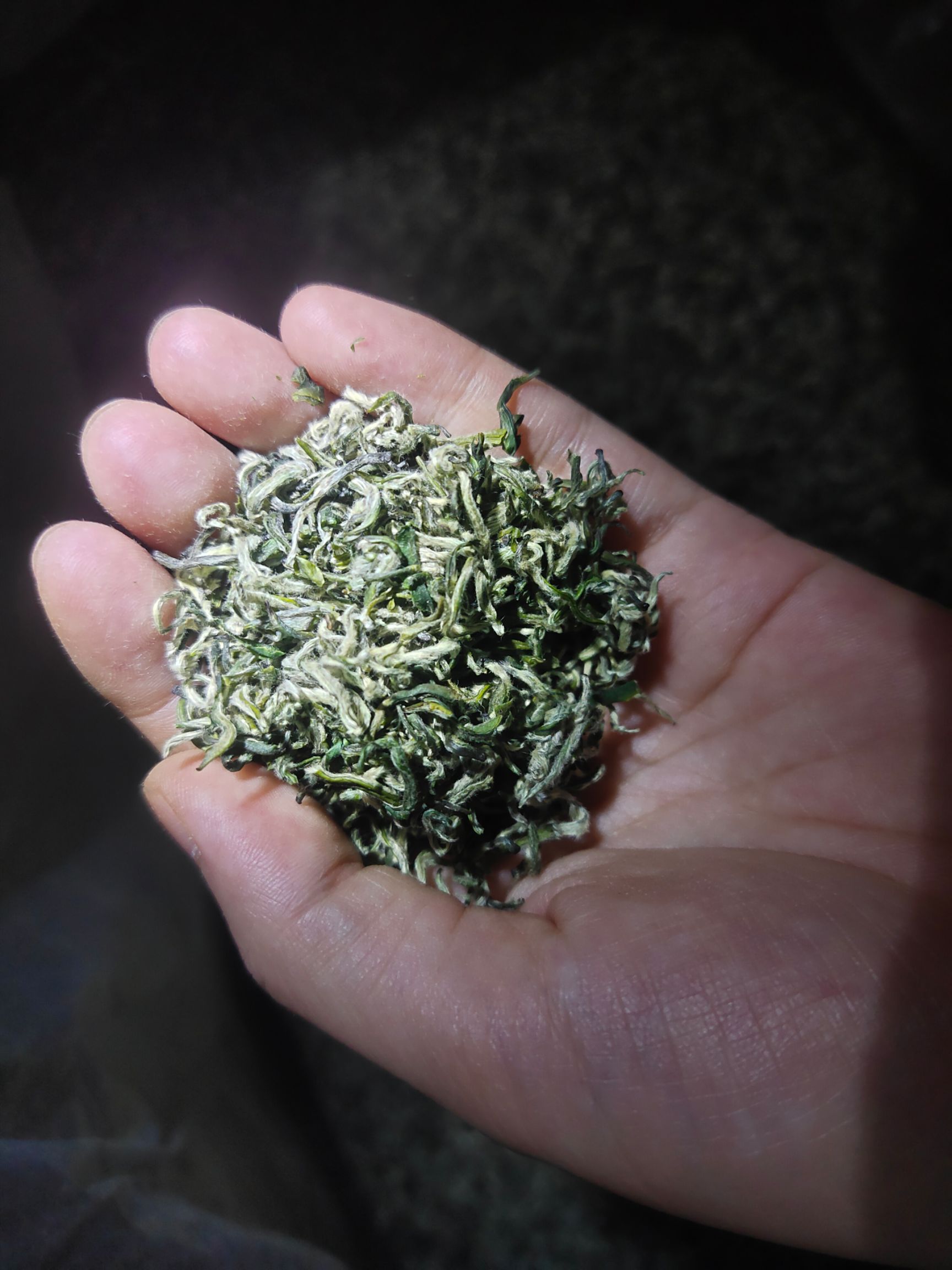 新白茶  茶明前茶春茶白茶碧螺春