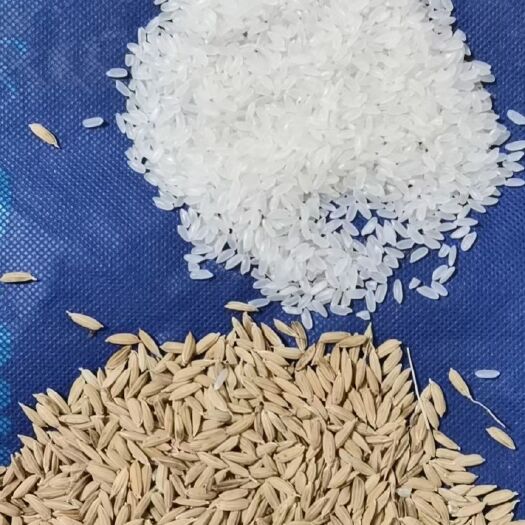 甘南县粳米 卖饭石富硒有机大米