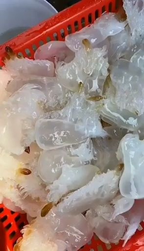 海蜇头皮丝餐饮业，电商微商大量供应，货源充足稳定，欢迎订购！