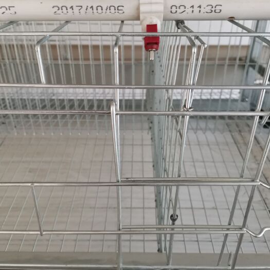 西平县 鸡笼养鸡设备自动化层叠式养鸡设备育雏笼蛋鸡笼肉鸡笼