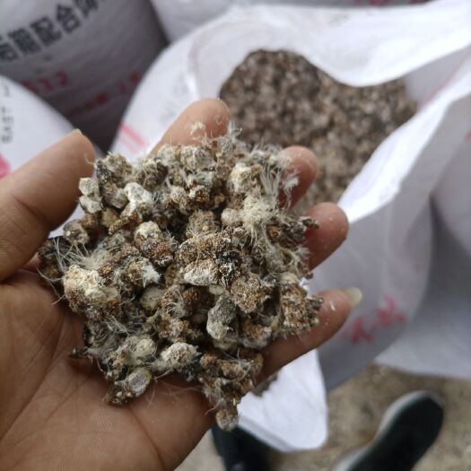 麟游县常年出售散装鸡粪，一次合作，终身朋友