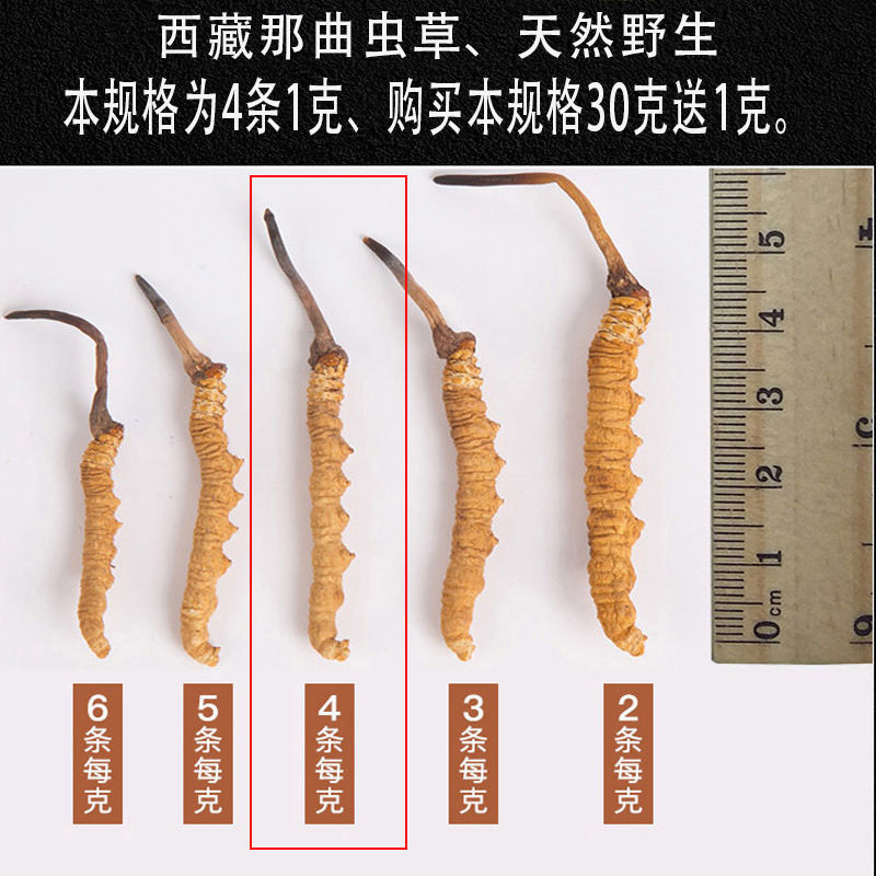 西藏那曲冬虫夏草产地直销