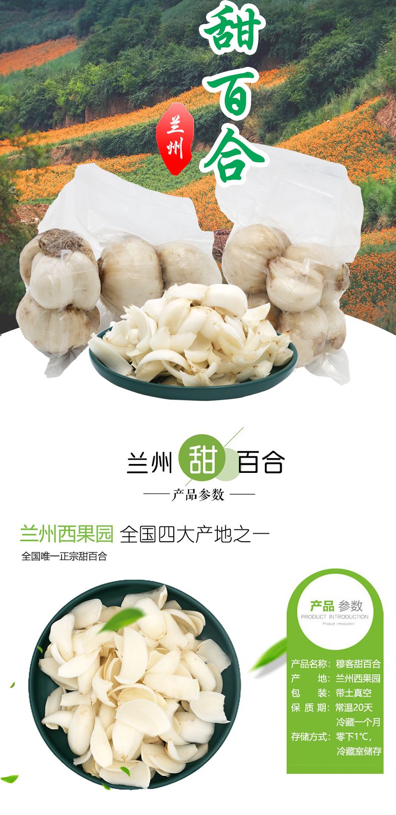 鲜百合 甘肃省兰州市七里河区 