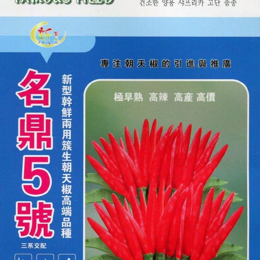 郑州名鼎5号干鲜两用朝天椒种子，高辣 高产 亩产六千斤