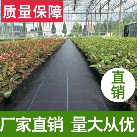 德州无纺布  厂家直销pp农用除草布防草布园艺透水抗老化黑色地布