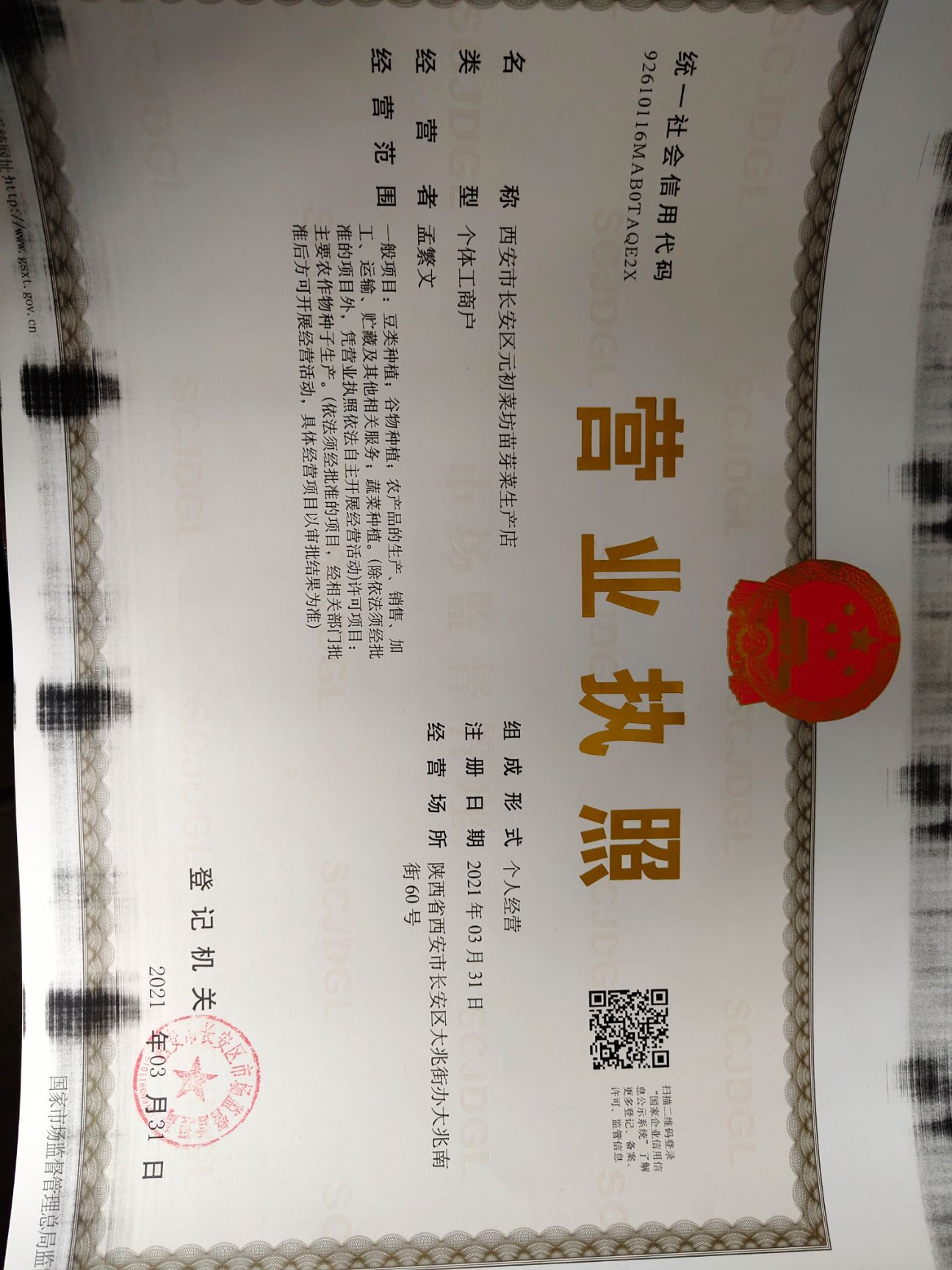 豌豆苗、菜之初苗芽菜，无农药残留富氧水培菜。