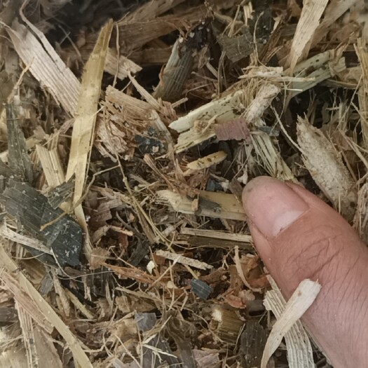 滦州市青储草块