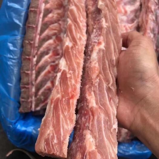 猪骨头  脊骨