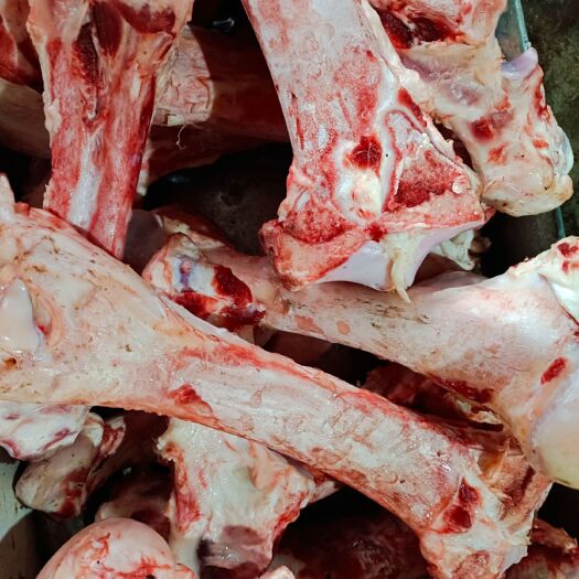 牛骨  牛腿骨，不带肉 纯干货，带骨髓