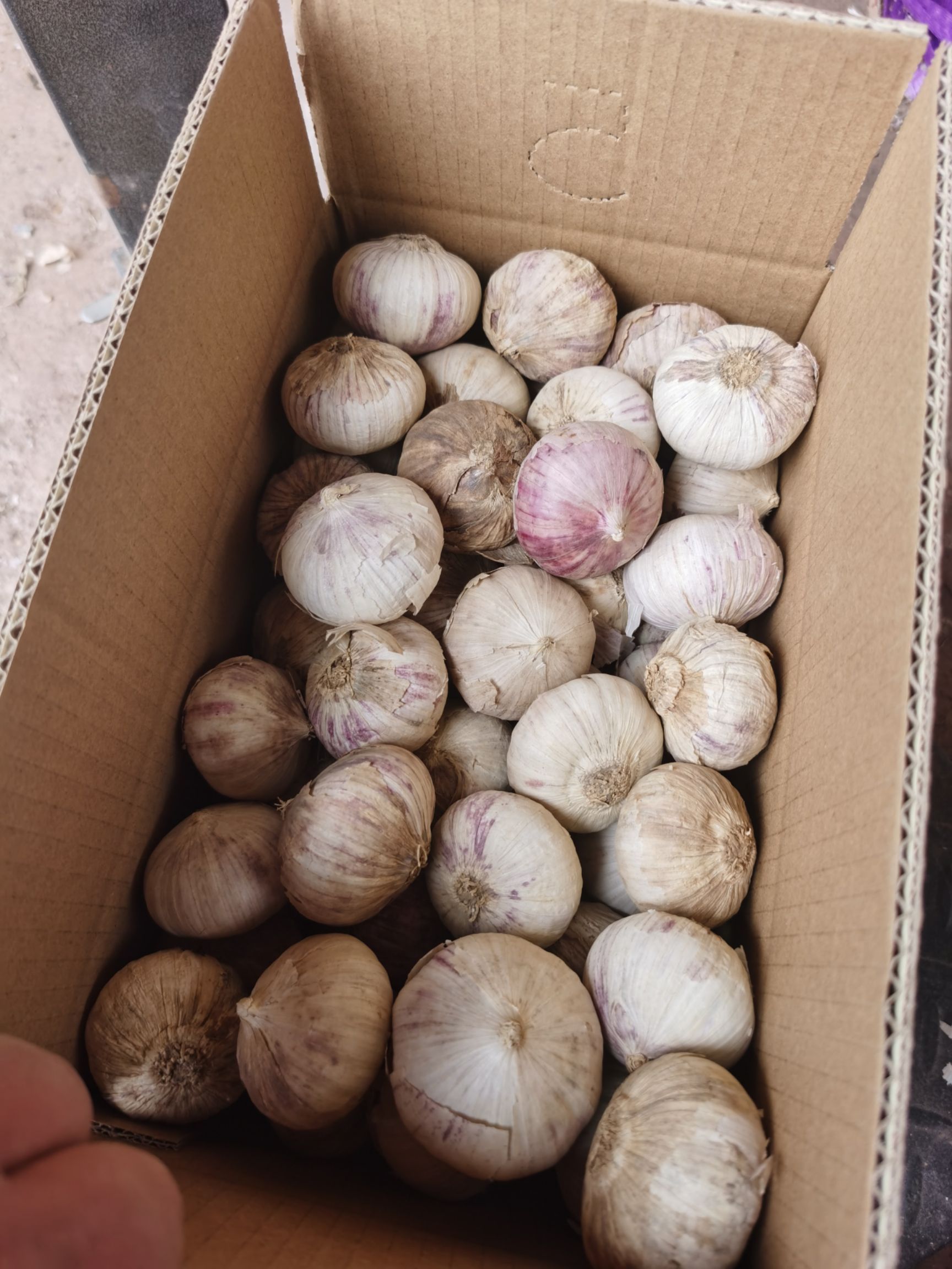 云南紫皮独头蒜2025新蒜干蒜批发零售量大从优
包邮  包邮