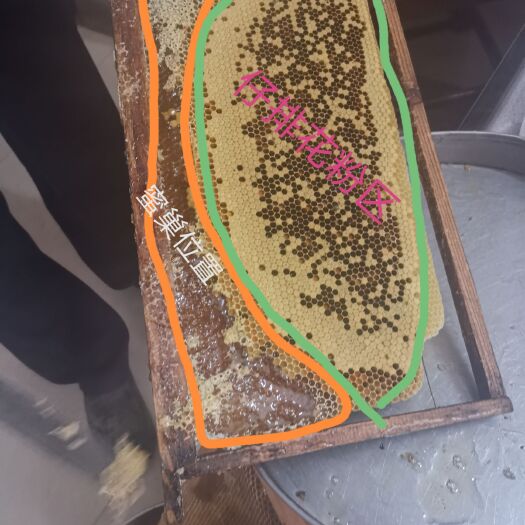 普宁市土蜂蜜 中蜂蜜 正宗蜂蜜 野蜜鸭脚木蜂蜜 巢蜜野蜜