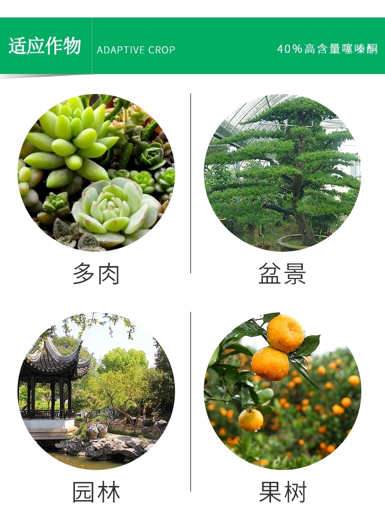 噻嗪酮蚧壳虫专用药蚧必治噻嗪酮介壳虫花卉柑橘果树多肉通用