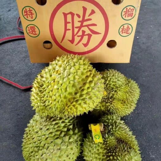 凭祥市金枕榴莲  泰国榴莲金枕