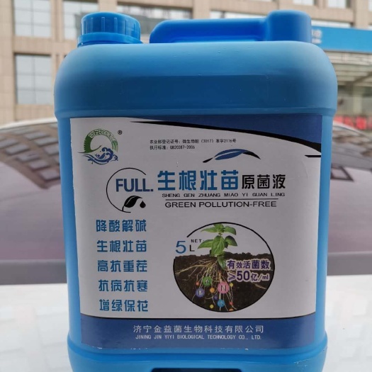 济宁芽孢杆菌  生根壮苗原菌液 促进生根 改良土壤 分裂残留 提高作物品质