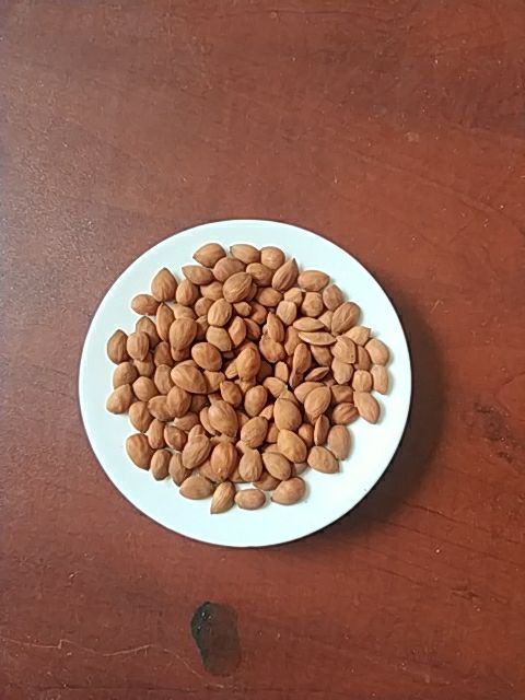 天津毛桃仁