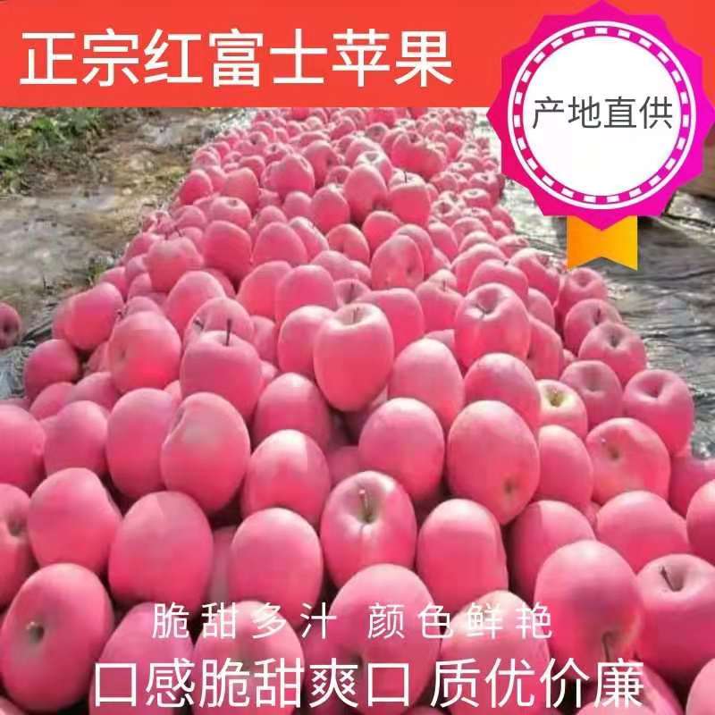红富士静宁红富士苹果，皮薄汁多 新鲜水果【产地直销】