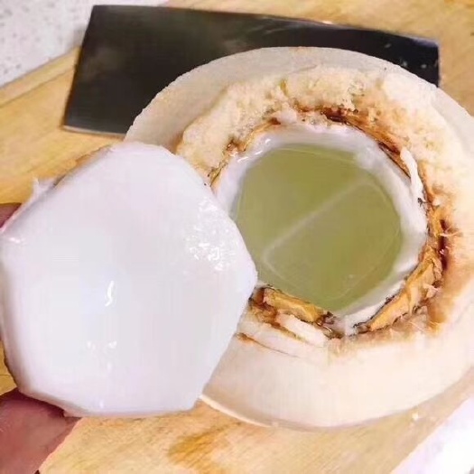 椰子  海南椰青，椰黄一件代发包邮包售后坏果包赔