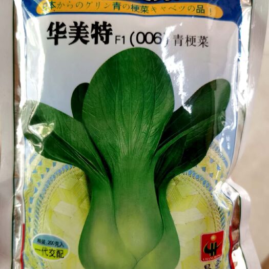东方市青梗菜种子 上海青菜种子，生长整齐，头大、束腰，品质特优