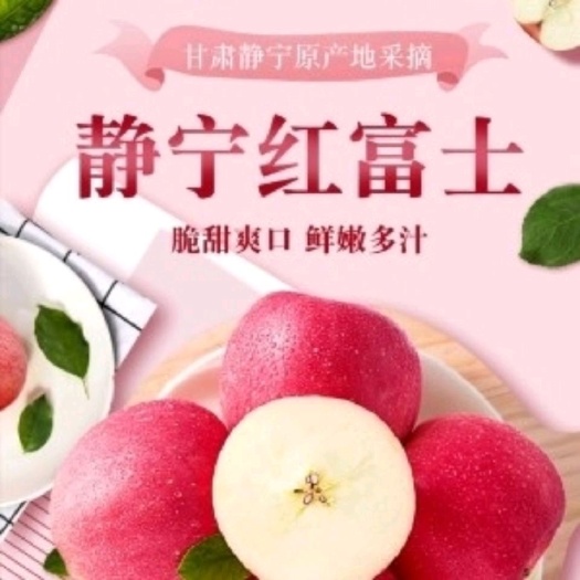 静宁县红富士苹果 水晶富士脆的红富士新鲜水果坏单包赔【坏果包赔】