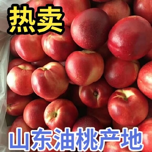 沂水县中油油桃  山东油桃 中油4号油桃 126油桃 中油5号油桃