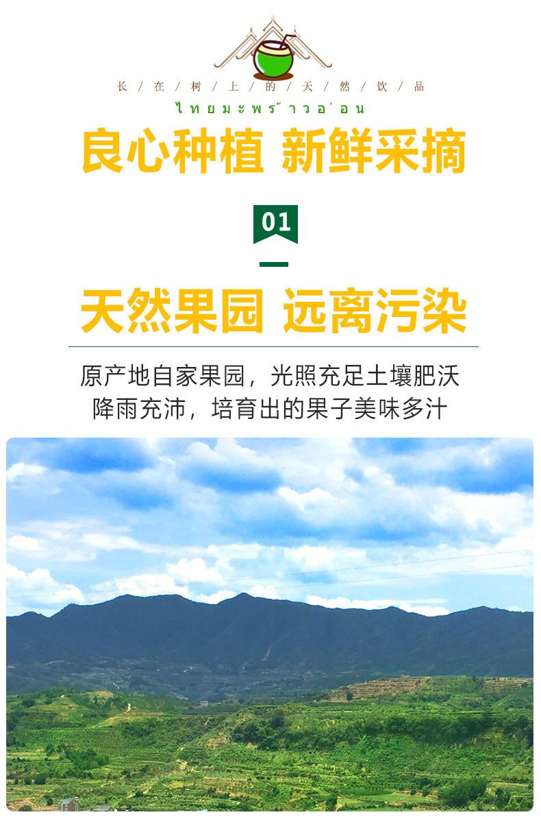 泰国椰青1-9个装椰子新鲜水果批发香水椰子