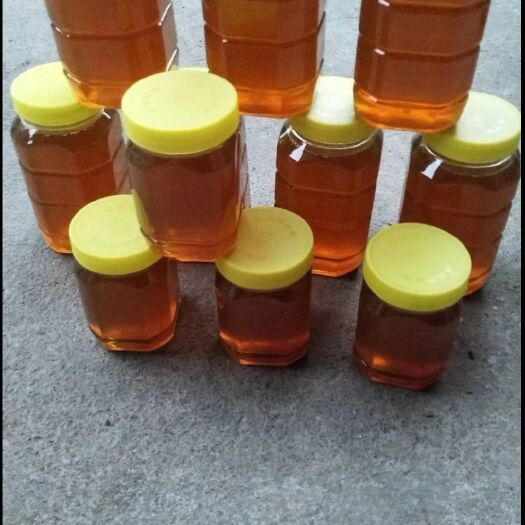 蓬安县农家土蜂蜜  菜花蜜，纯蜂蜜，，孕妇.老人可食用