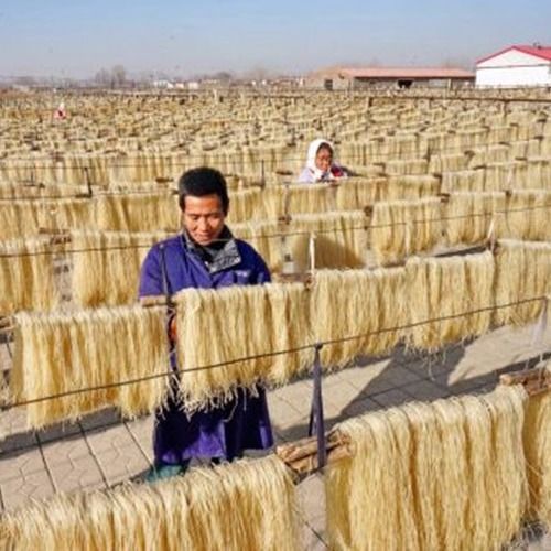 红薯粉丝  手工红薯粉条厂家直销质量保证口感好无食用胶