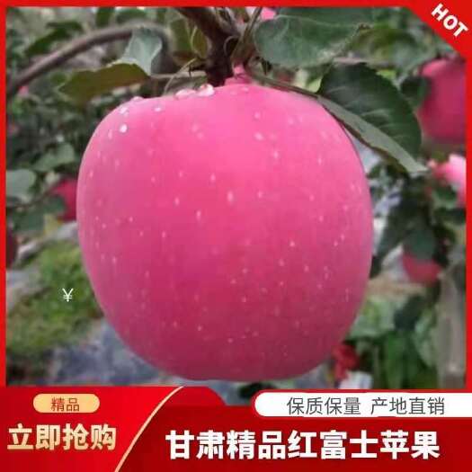 红富士静宁红富士苹果，皮薄汁多 新鲜水果【产地直销】