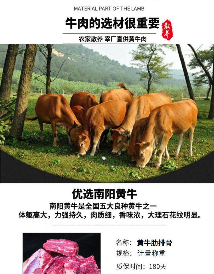 新鲜不调理牛肋排牛排骨牛肋排骨散养黄牛带骨牛肉牛排骨送料包邮