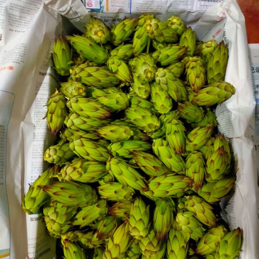 东方市 新鲜霸王花