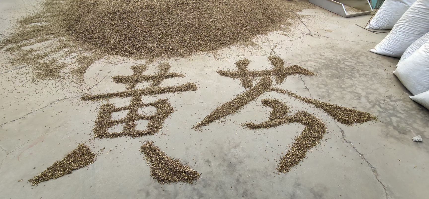 黄芩 山西正品无硫干货【选统】规格齐全  一公斤起包邮